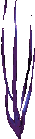 seaweed-purple